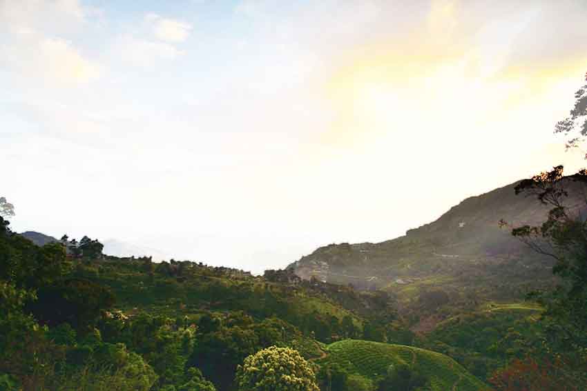 Scenic valley and tea plantation view from Pothamedu View Point Munnar