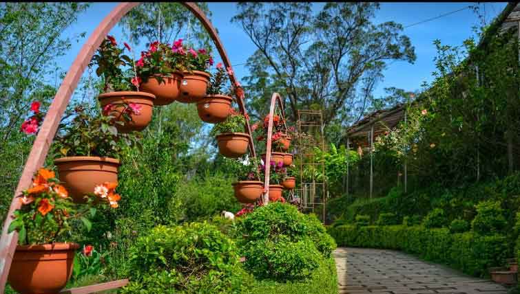 Flower pathway inside Forest Rose Garden Munnar