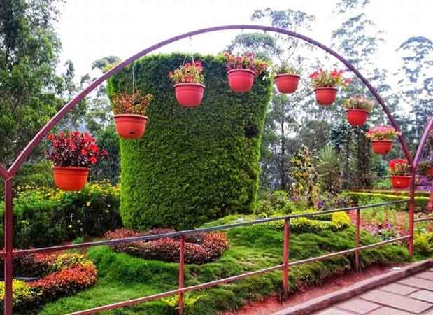 Greenery around Forest Rose Garden Munnar