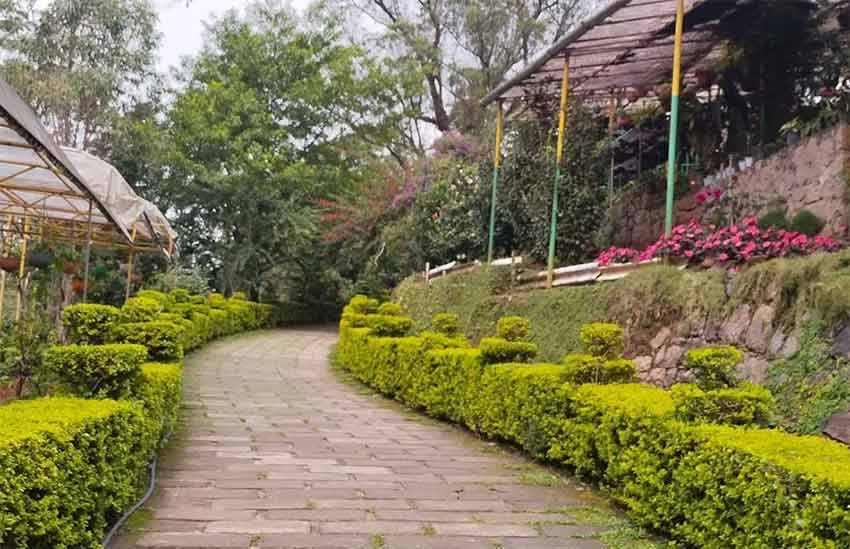 Scenic garden view at Forest Rose Garden Munnar