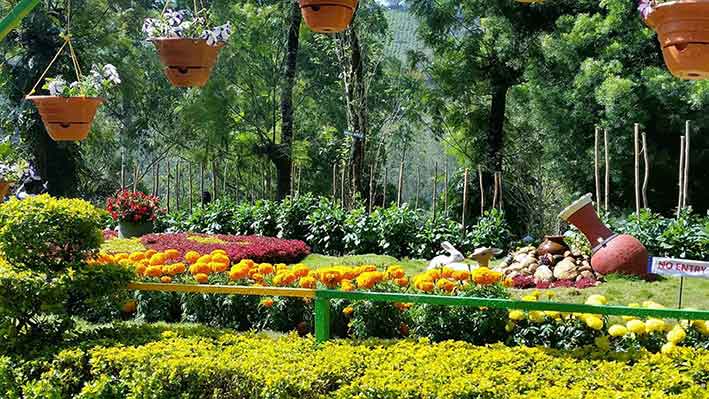 Popular tourist spot Forest Rose Garden Munnar