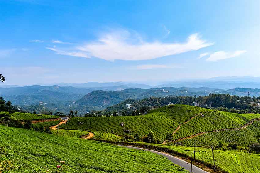 Cochin Direction Sightseeing Tour from Munnar covering Spice Plantations and Waterfalls