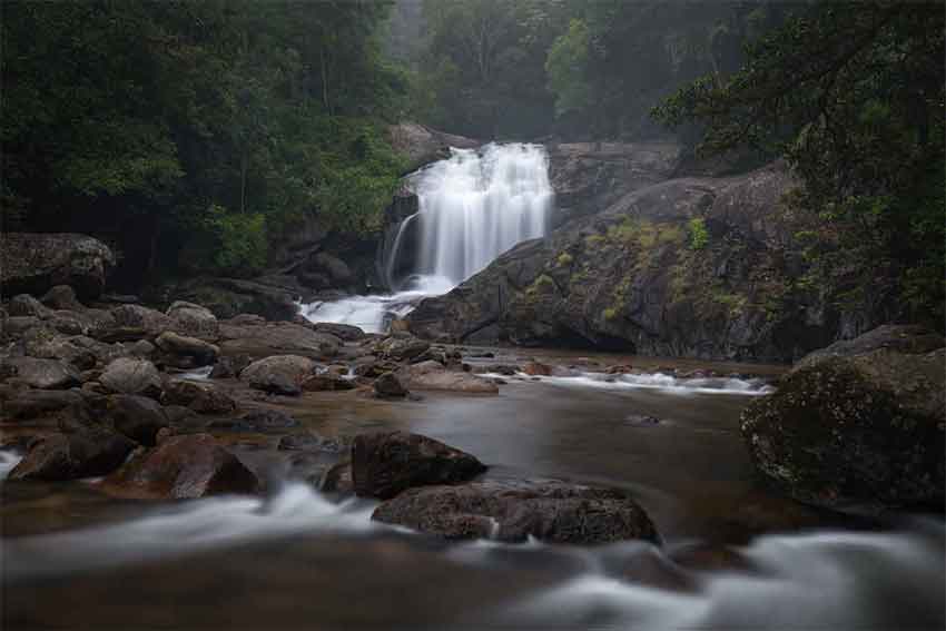 Udumalpet Direction Sightseeing Tour Munnar including Chinnar Wildlife Sanctuary and Waterfalls