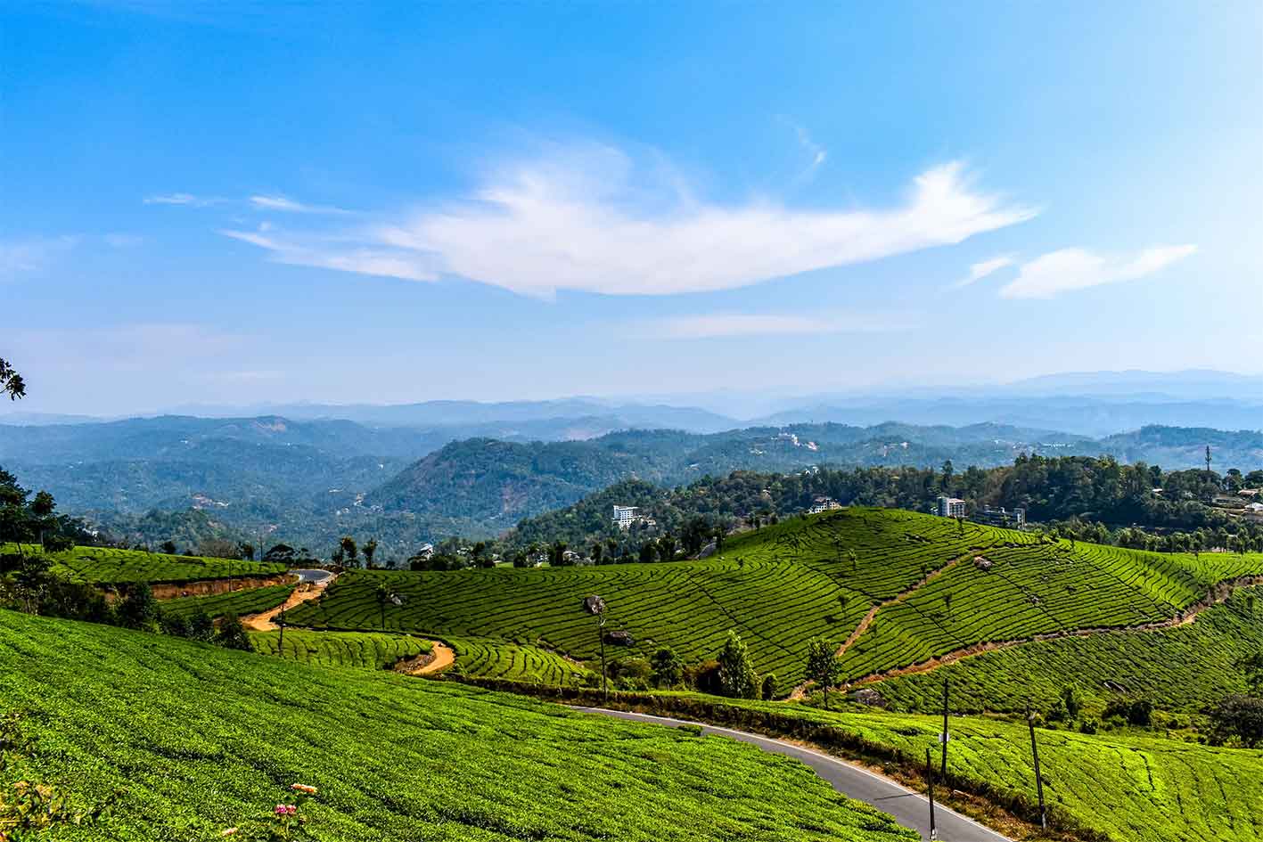 2nd Mile Tea Garden photo point Munnar