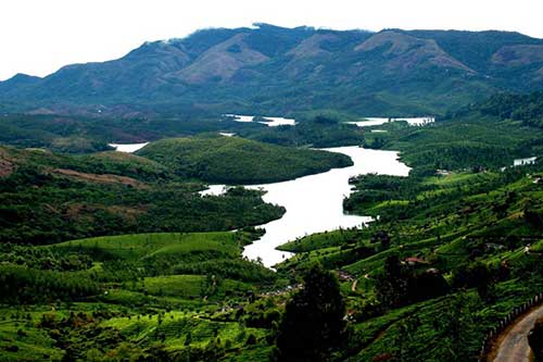 Anayirankal Dam Munnar surrounded by tea plantations