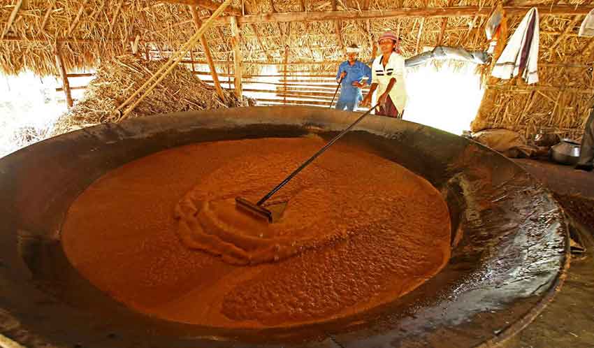 Traditional jaggery product making in Munnar village tourism