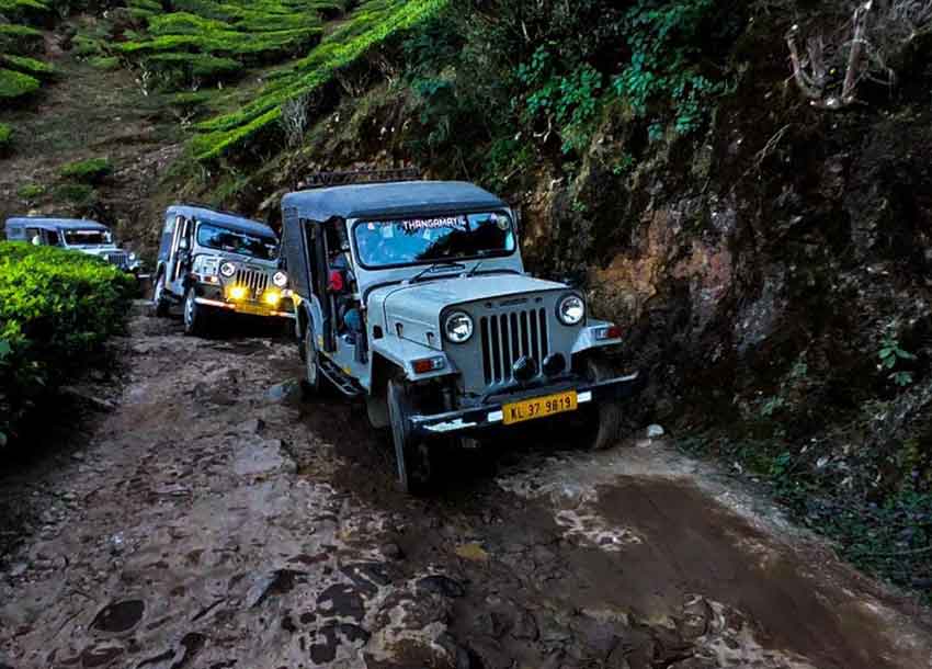 Jeep safari in Munnar exploring off-road trails, hills and tea estates