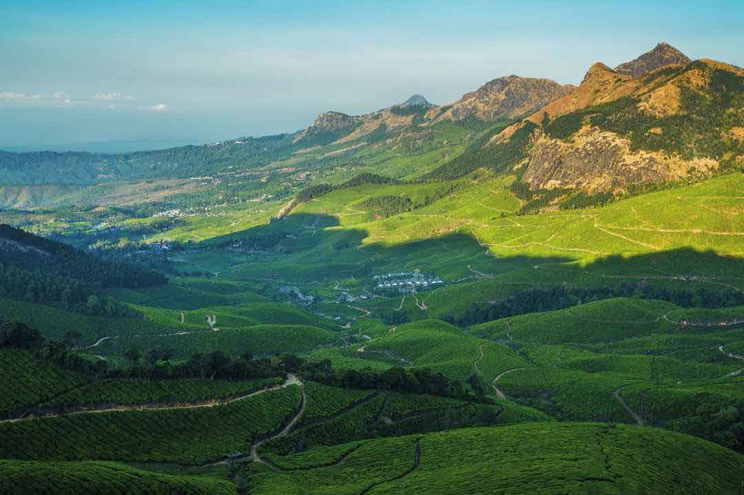 Kolukkumalai tea garden with the world’s highest plantation