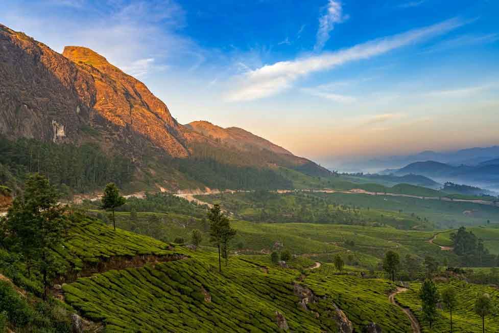 Lakhard tea garden viewpoint in Munnar