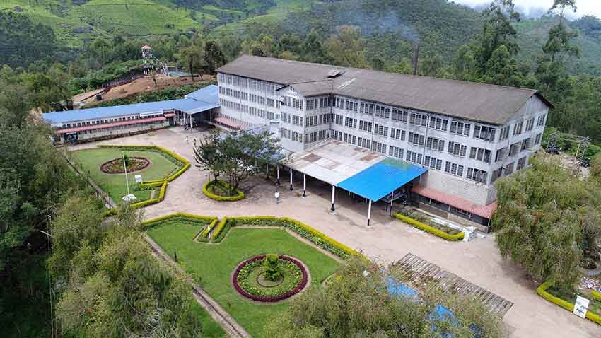 Lockhart Tea Factory in Munnar offering tea plantation tours and tastings