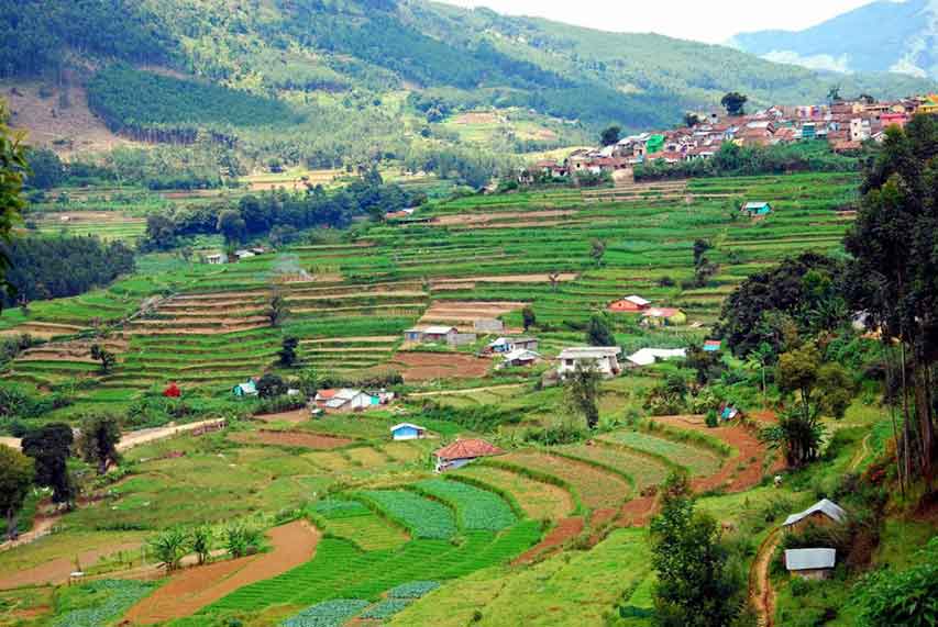Vattavada village in Munnar famous for vegetables, fruits and farming tourism