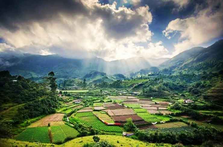 Yellappatti village view with tea plantations in Munnar