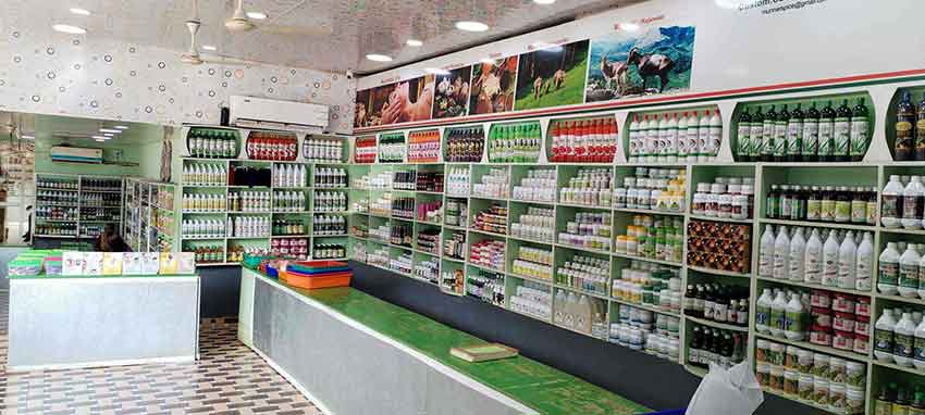 Herbal and spice tour in Munnar plantation