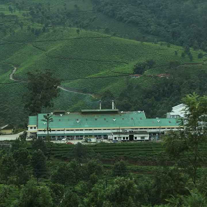 Talayar Tea Factory building among estates
