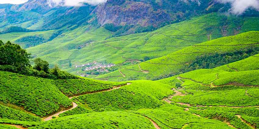 Clouds floating over Munnar tea gardens
