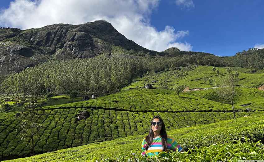 Panoramic viewpoint overlooking Munnar tea estates