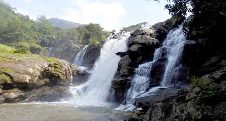Forest scenery around Thoovanam Waterfalls Kerala