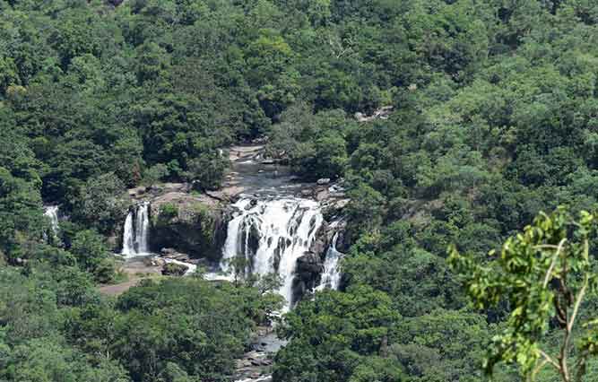 Nature trekking trail to Thoovanam Waterfalls Munnar