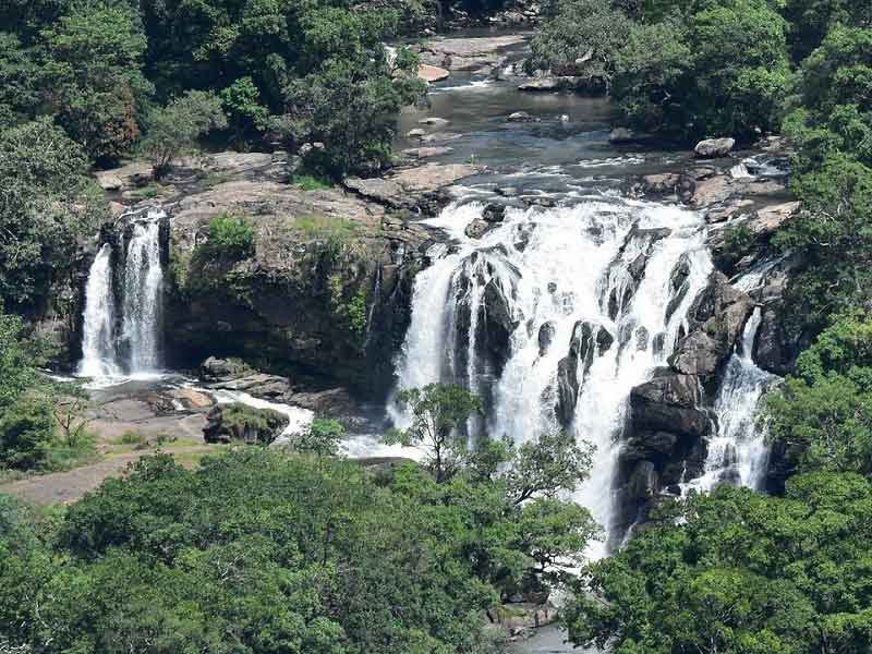 Trekking route to Thoovanam Waterfalls Munnar Kerala