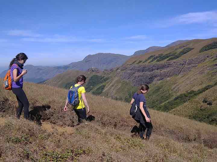 Gap Road Trekking Munnar