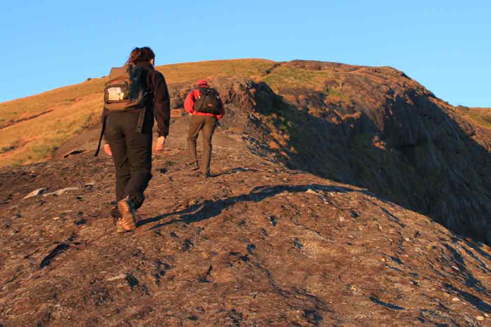 Pallivasal Trekking Munnar