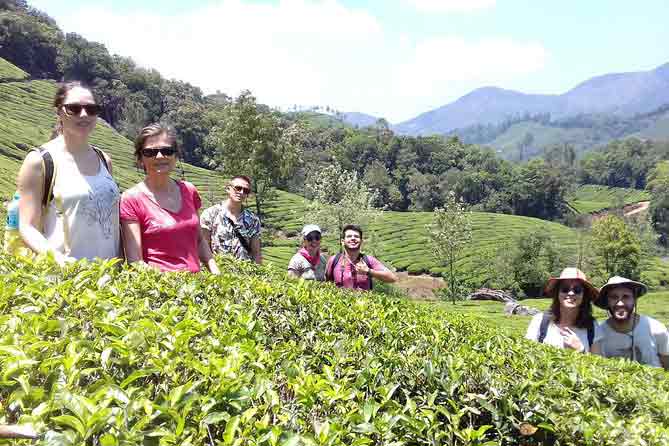 Tea Garden Trekking Munnar