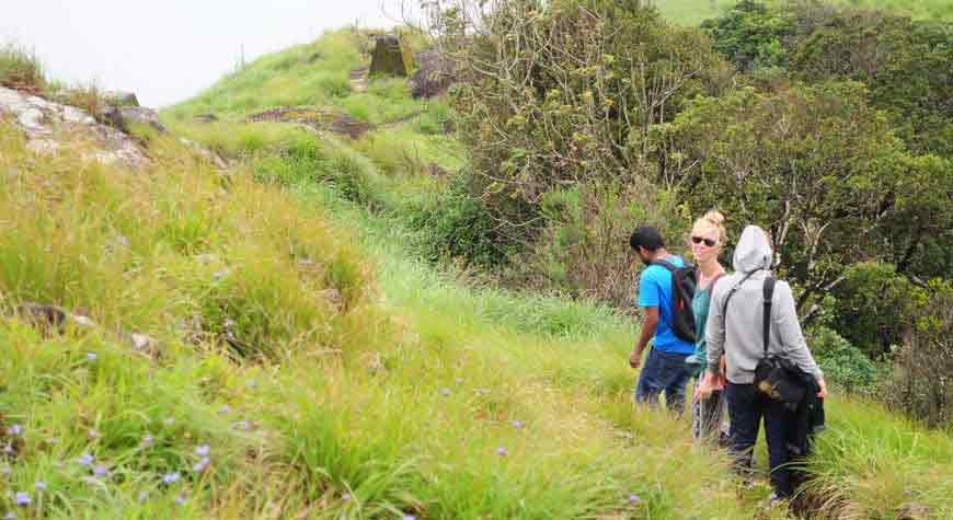 Top Station Trekking Munnar