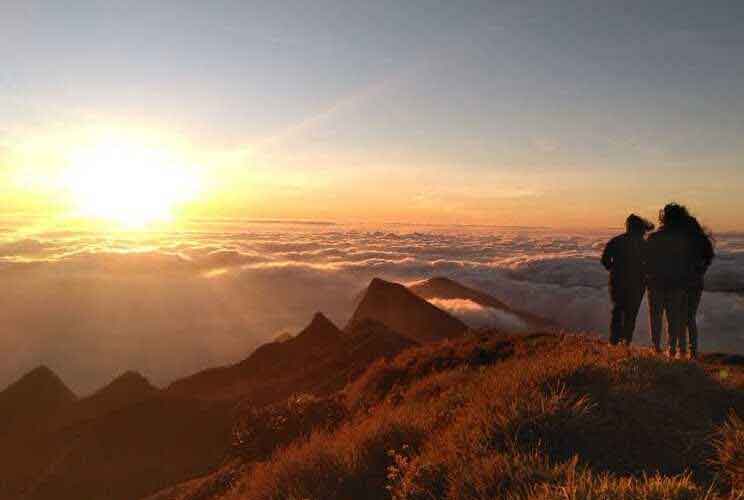 Kolukkumalai Sunrise View Point Munnar Kerala - Highest Tea Plantation Sunrise