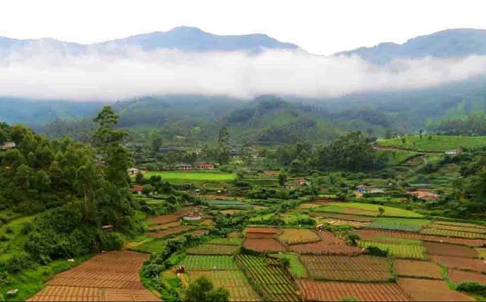 Yellappatti Village View Munnar Kerala - Picturesque Tea Plantation Village