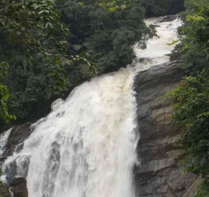 Nayamakad Waterfalls Munnar Kerala - Tallest Cascade in Munnar