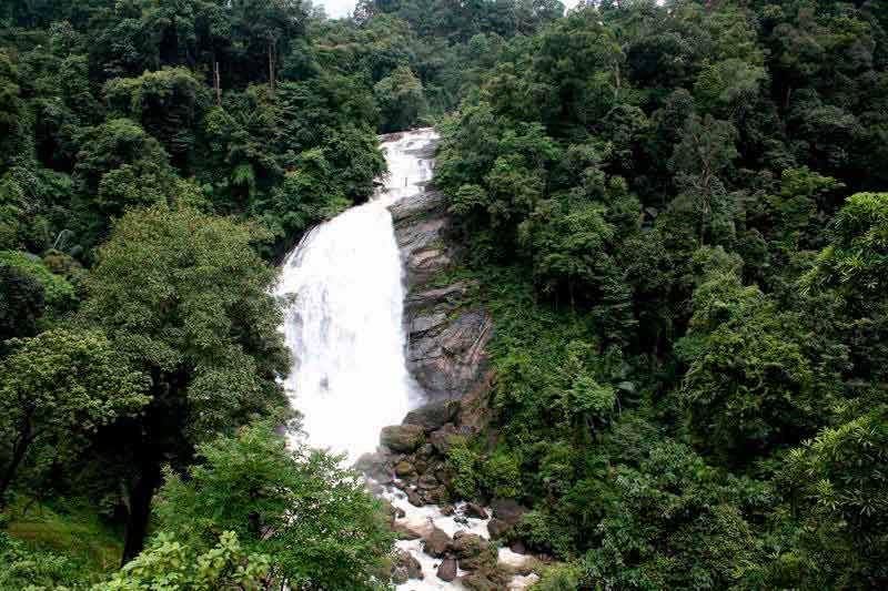 Valara Waterfalls Munnar Kerala - Dense Forest Tourist Attraction