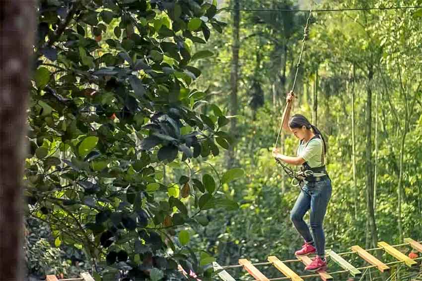 Wonder Valley Adventure Park Munnar – Kerala’s first adventure amusement park