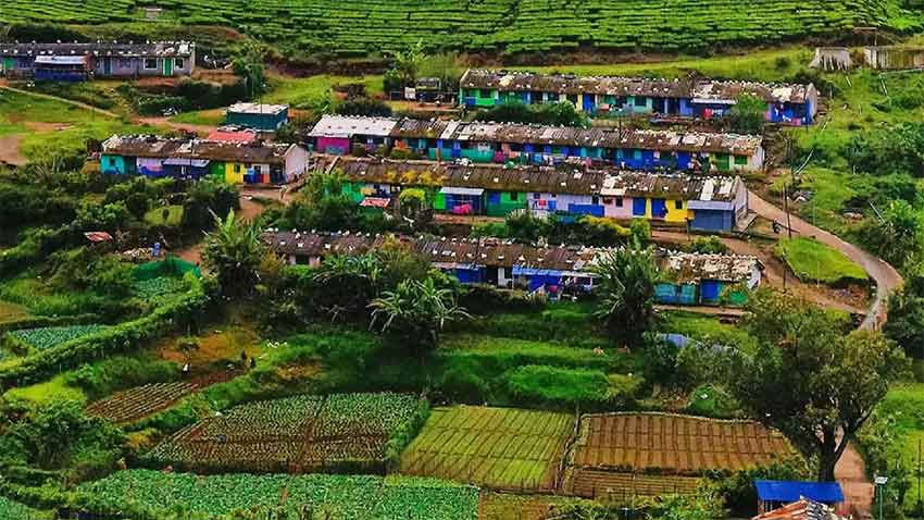Tourists enjoying a nature walk in Yellappatti Village Munnar