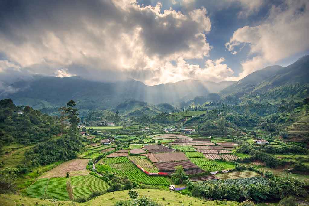 Tourism attractions and nature view of Yellappatti Village Munnar