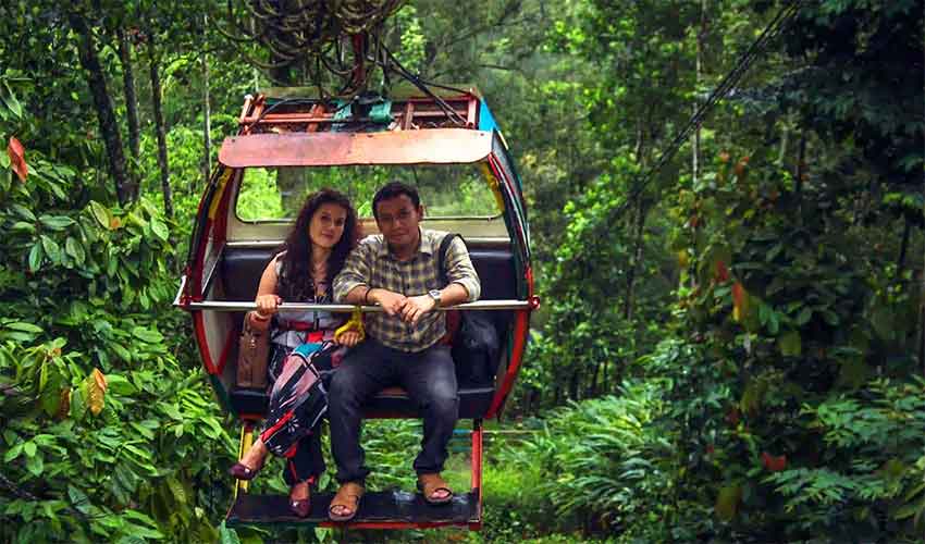 Tourists enjoying zipline ride in Munnar